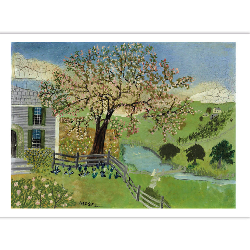 32 ชิ้น/กล่อง Good Time ยาย Mo - Collectible Vintage Greeting Cards บทวิจารณ์และราคา